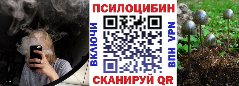 Галлюциногенные грибы Cubensis  ОМГ ОМГ ссылка  Бакал  где найти  